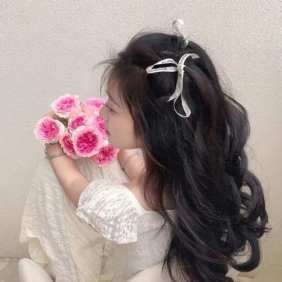 无声的证言第二十八季